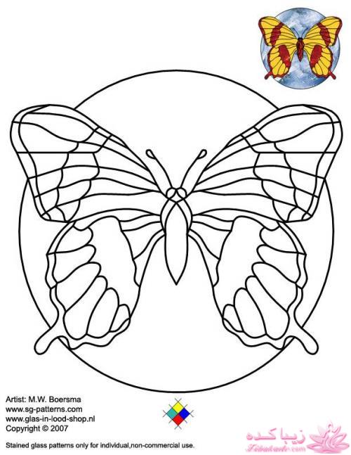 همه چیز در مورد ویترای...